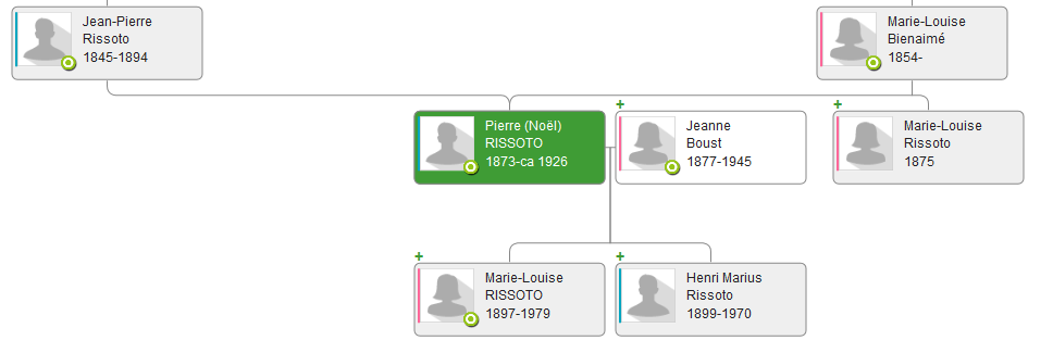 rissoto-pierre-arbre